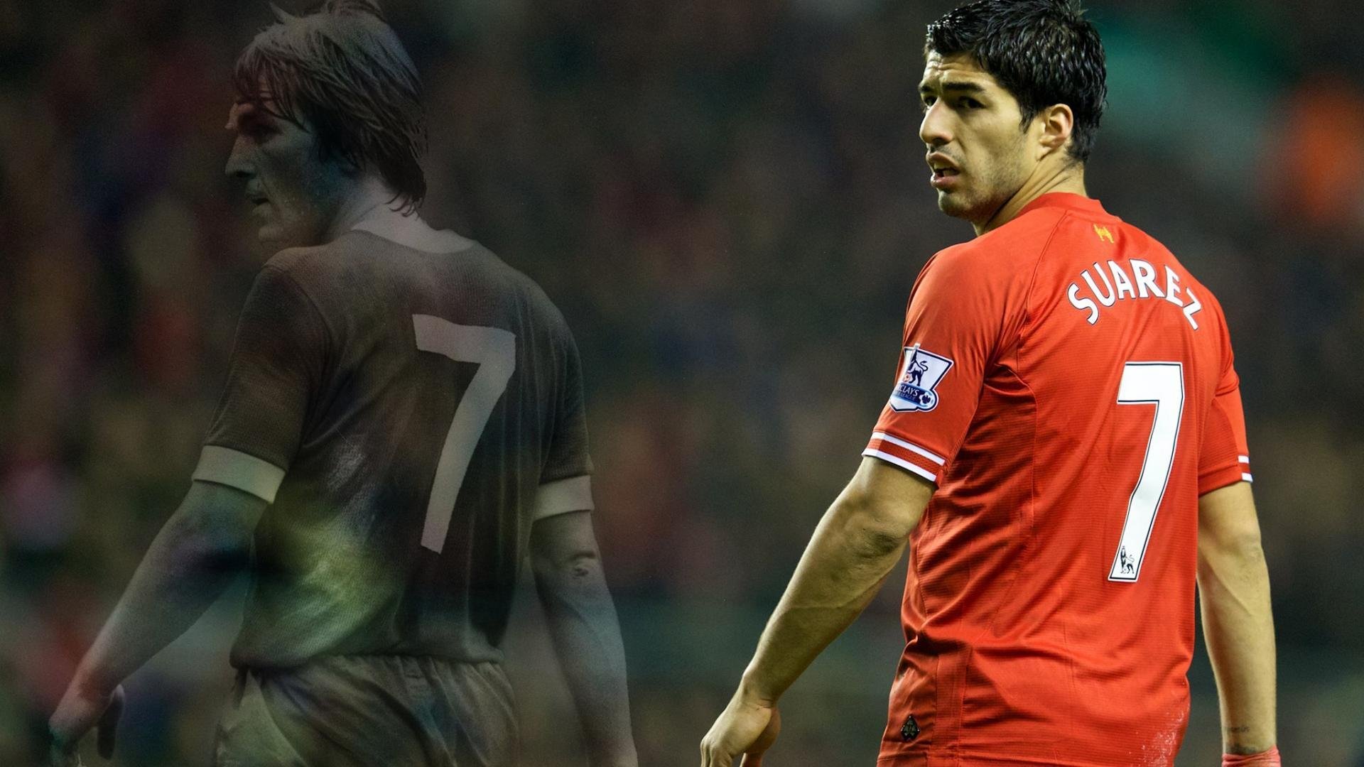 比利时马术协会引入智能马鞍系统,实现实时数据监测与分析,提升骑乘体验。